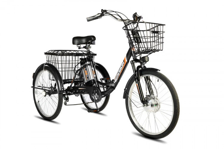 Электровелосипед РВЗ Чемпион 24 в Воронеже