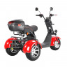 Электроскутер White Siberia PRO TRIKE 3000W в Воронеже