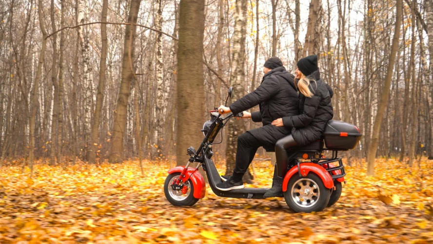 Электроскутер White Siberia PRO TRIKE 3000W в Воронеже