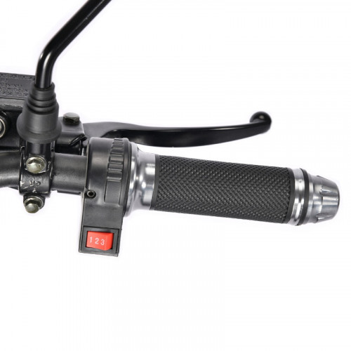 Электроскутер White Siberia TRIKE MINI 1500W в Воронеже