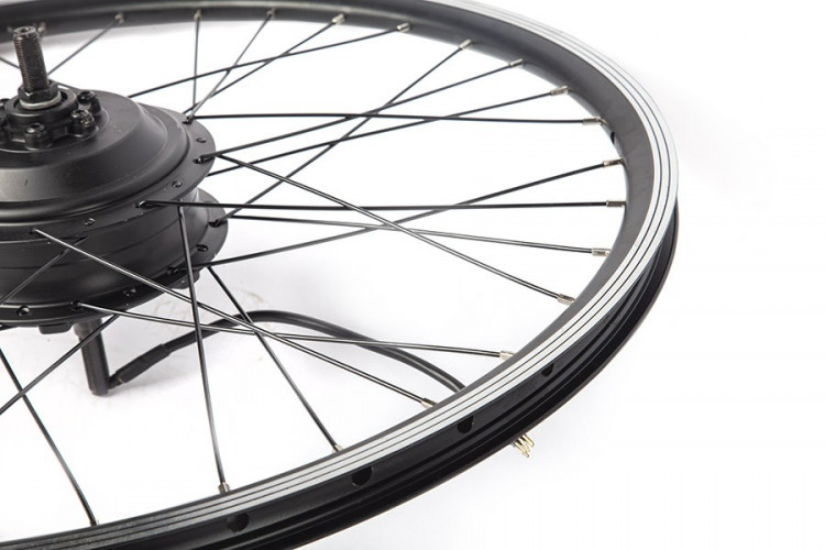 Мотор-колесо Eltreco 48V 500W LCD 20" АКБ 36V 10А/ч (FROG) в Воронеже