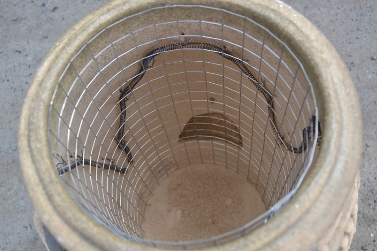 Тандыр Электрический Малый в Воронеже