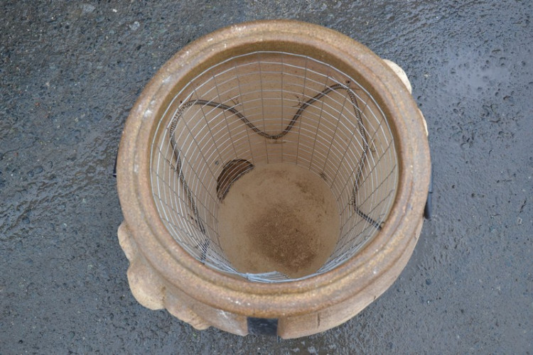 Тандыр Электрический Баран в Воронеже