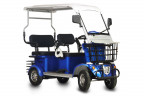 Пассажирский электротрицикл Rutrike Gelbert Hara в Воронеже