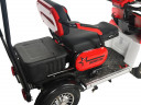 Пассажирский электротрицикл Rutrike Gelbert Lich в Воронеже