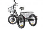 Электрофэтбайк Eltreco Green City e-ALFA Trike в Воронеже