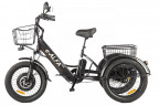 Электрофэтбайк Eltreco Green City e-ALFA Trike в Воронеже