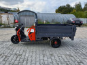 Грузовой электрический трицикл Pаntеrа Гидрaвлика 75V1500W в Воронеже